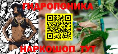 спайс Новодвинск