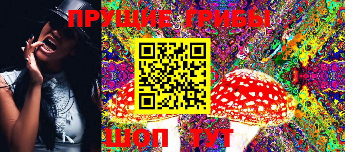 Рубцовск  Галлюциногенные грибы MAGIC MUSHROOMS  продажа наркотиков  Вход с VPN 