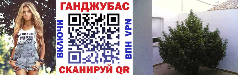 наркотики  Рубцовск  МАРИХУАНА план 